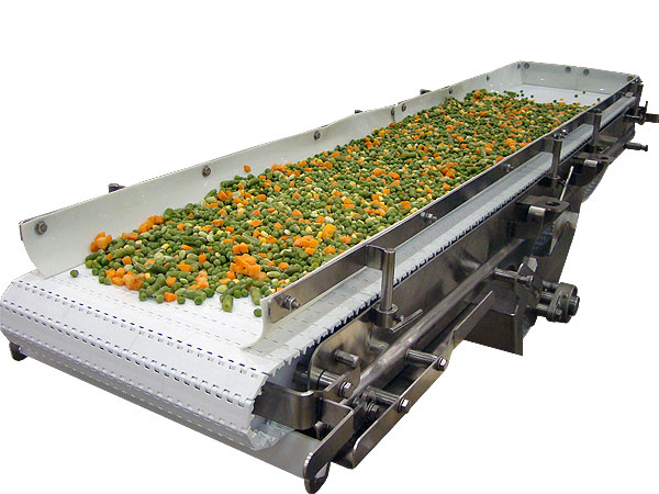 industrial conveyor belt fruit washer